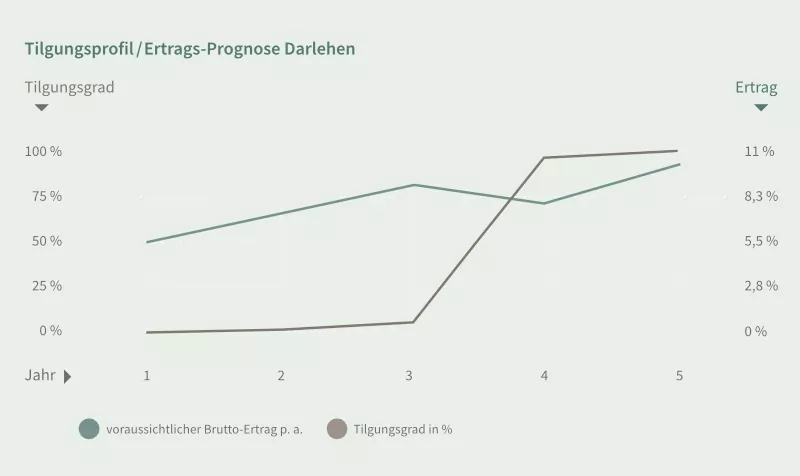 Parkklinik Hornbach - Tilgungsprofil / Ertrags-Prognose Darlehen